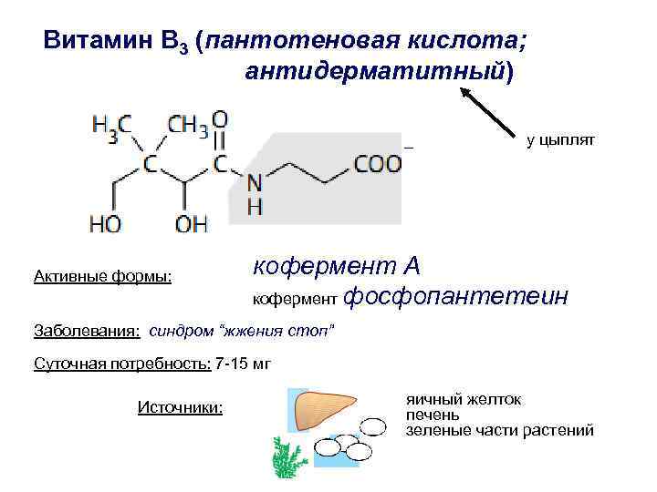 Пантотеновая кислота