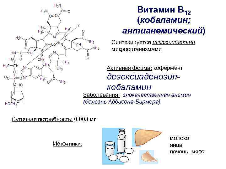 Витамин в 12 презентация