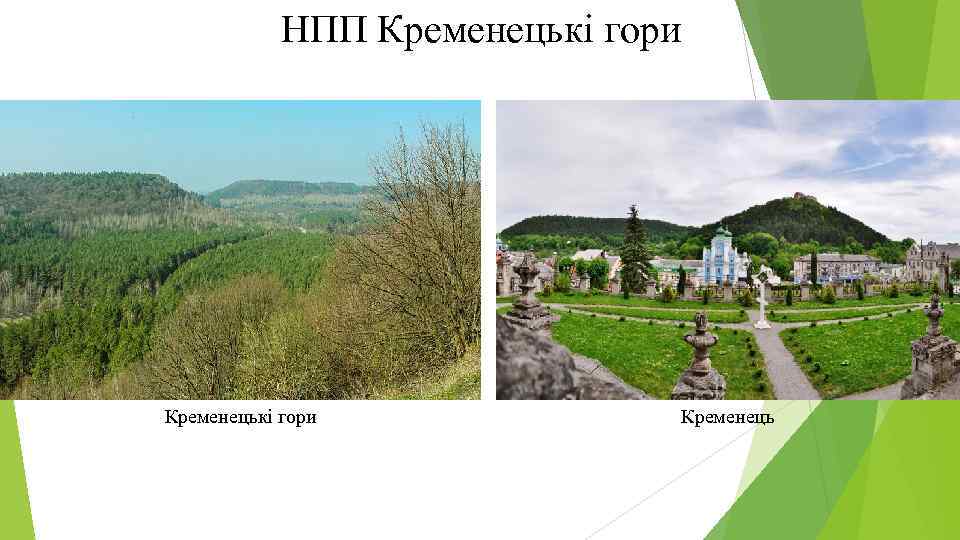 НПП Кременецькі гори Кременець 