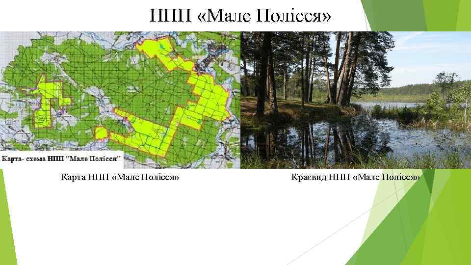 НПП «Мале Полісся» Карта НПП «Мале Полісся» Краєвид НПП «Мале Полісся» 