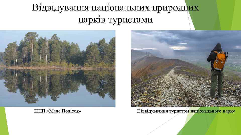 Відвідування національних природних парків туристами НПП «Мале Полісся» Відвідуввання туристом національного парку 