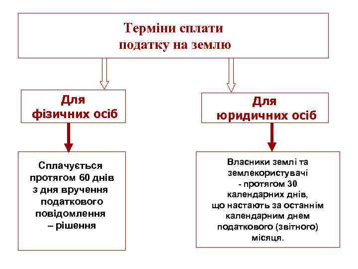 Терміни сплати податку на землю Для фізичних осіб Сплачується протягом 60 днів з дня