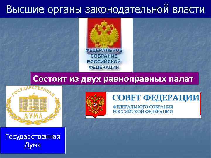 Высшие органы законодательной власти Состоит из двух равноправных палат Государственная Дума 