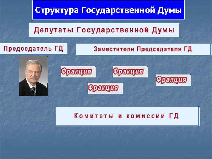 Структура Государственной Думы 
