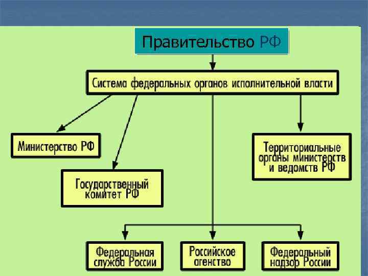 Правительство РФ 