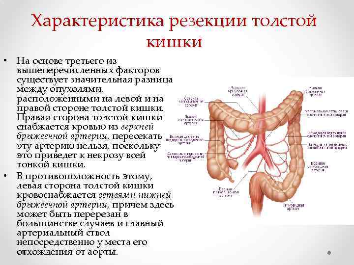 Характеристика резекции толстой кишки • На основе третьего из вышеперечисленных факторов существует значительная разница