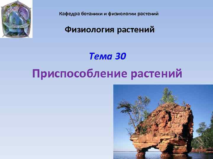 Кафедра ботаники и физиологии растений Физиология растений Тема 30 Приспособление растений 1 