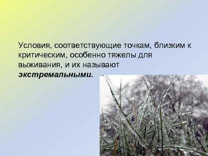 Условия, соответствующие точкам, близким к критическим, особенно тяжелы для выживания, и их называют экстремальными.