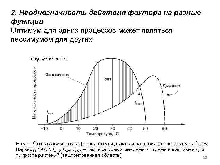 На рисунке продемонстрирована схема зависимости степени благоприятности действия фактора на живые