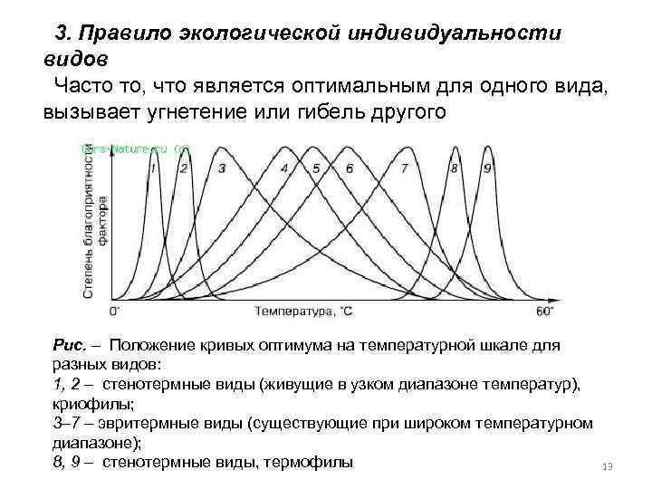 3. Правило экологической индивидуальности видов Часто то, что является оптимальным для одного вида, вызывает