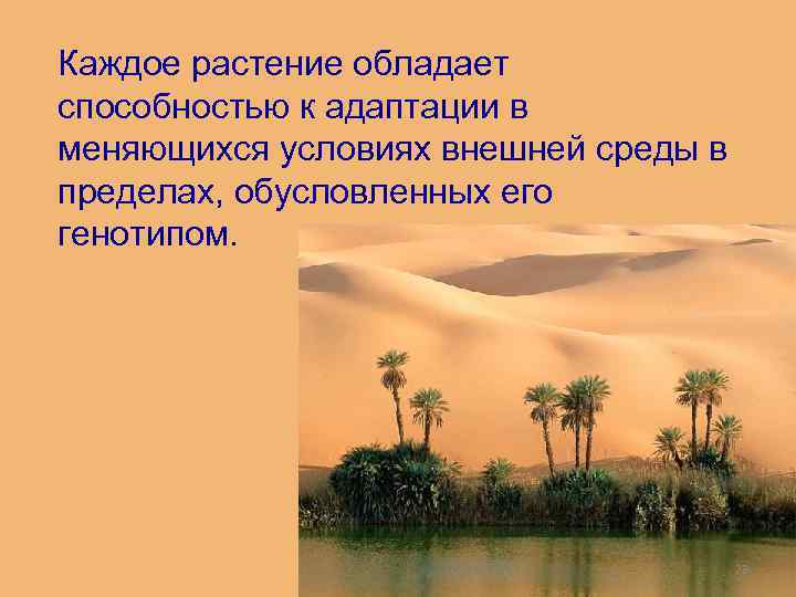 Каждое растение обладает способностью к адаптации в меняющихся условиях внешней среды в пределах, обусловленных