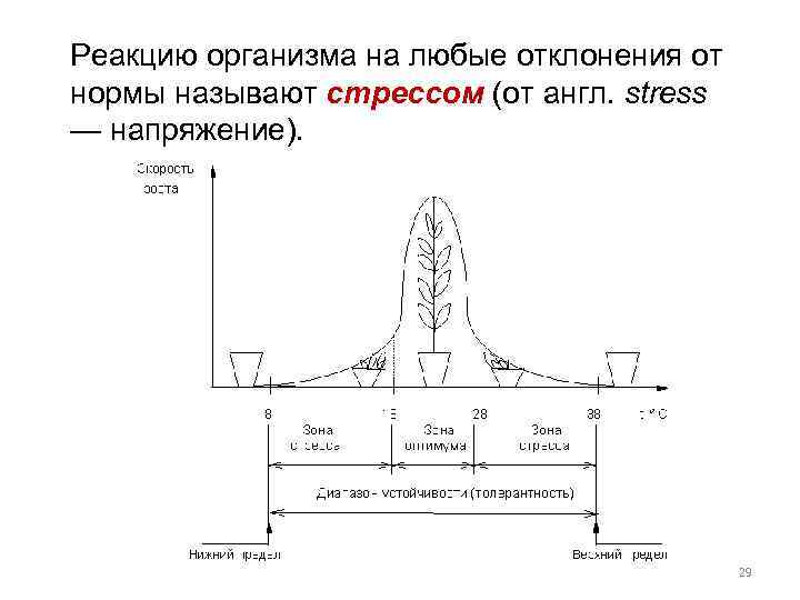 Реакцию организма на любые отклонения от нормы называют стрессом (от англ. stress — напряжение).