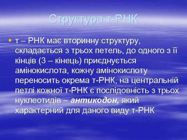 Структура т-РНК § т – РНК має вторинну структуру, складається з трьох петель, до
