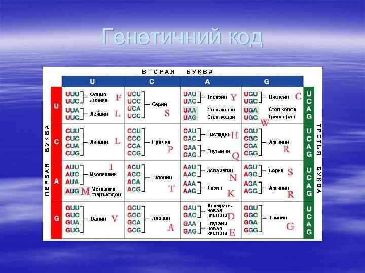 Генетичний код 