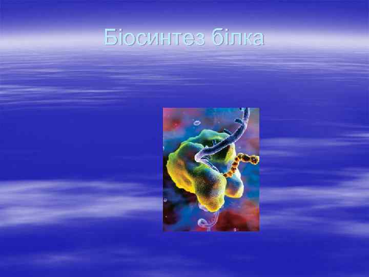 Біосинтез білка 