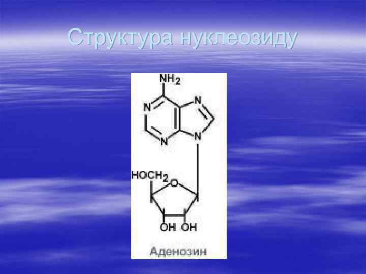 Структура нуклеозиду 