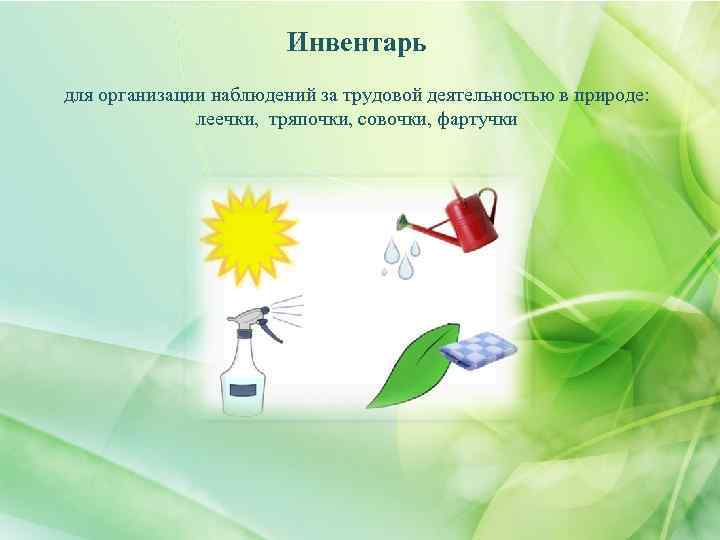 Инвентарь для организации наблюдений за трудовой деятельностью в природе: леечки, тряпочки, совочки, фартучки 