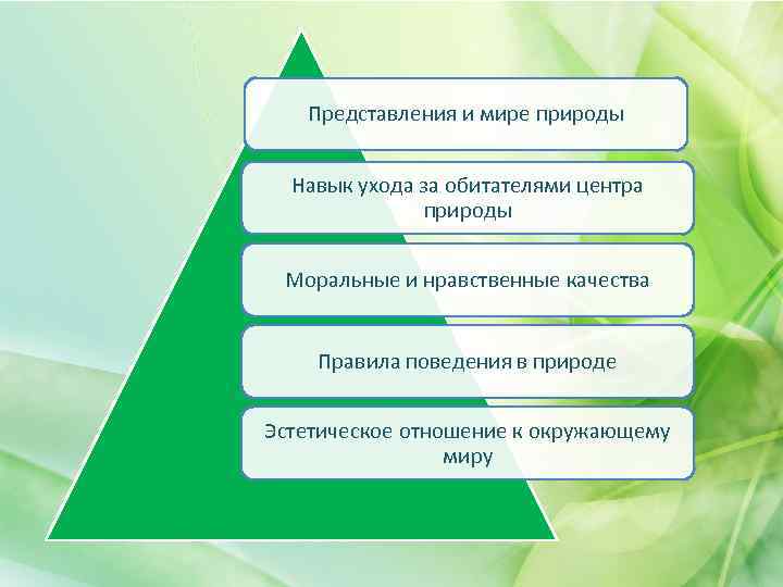 Представления и мире природы Навык ухода за обитателями центра природы Моральные и нравственные качества