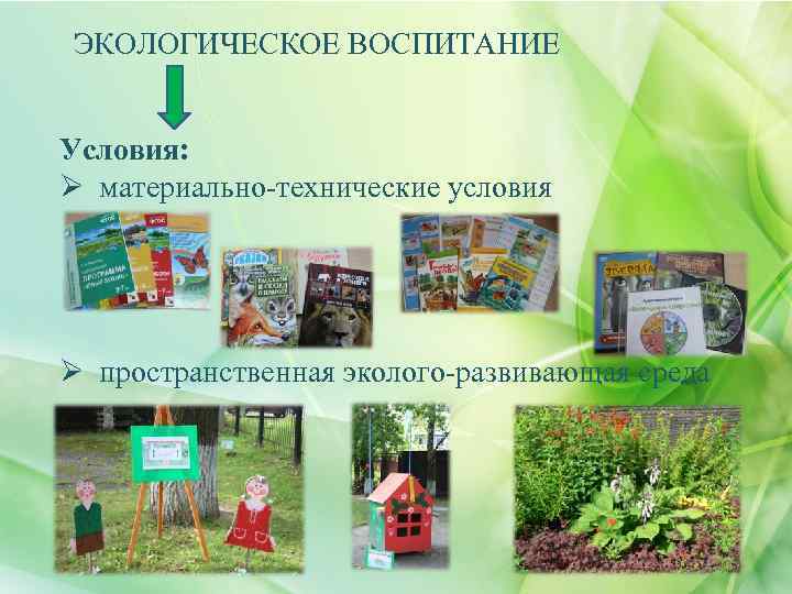 ЭКОЛОГИЧЕСКОЕ ВОСПИТАНИЕ Условия: Ø материально-технические условия Ø пространственная эколого-развивающая среда 