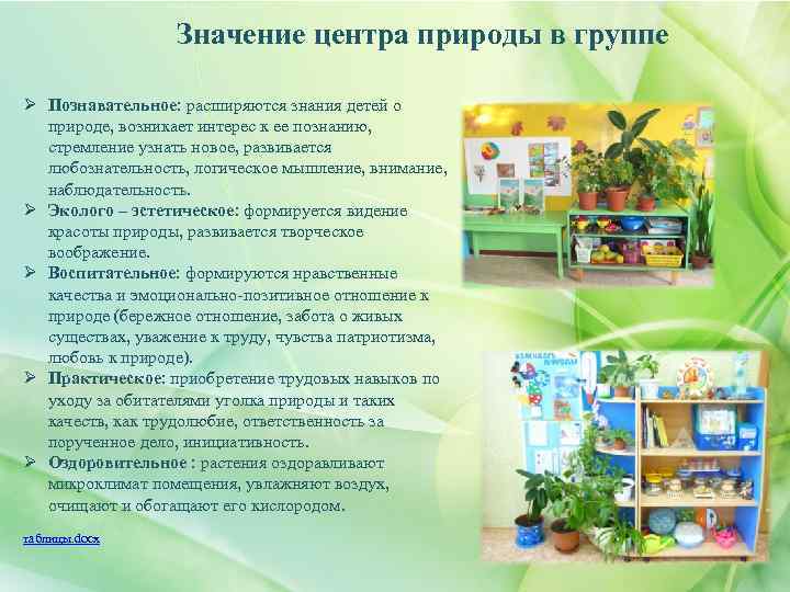 Значение центра природы в группе Ø Познавательное: расширяются знания детей о природе, возникает интерес