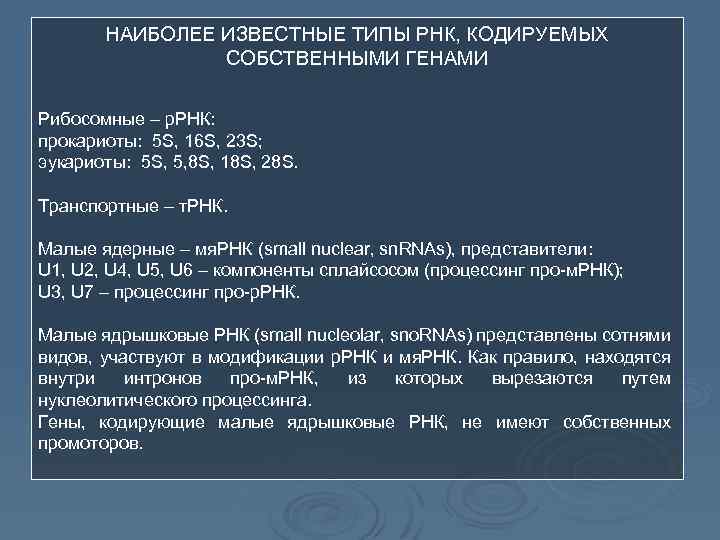 НАИБОЛЕЕ ИЗВЕСТНЫЕ ТИПЫ РНК, КОДИРУЕМЫХ СОБСТВЕННЫМИ ГЕНАМИ Рибосомные – р. РНК: прокариоты: 5 S,