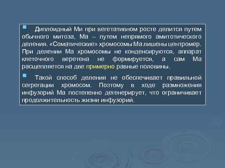 § Диплоидный Ми при вегетативном росте делится путем обычного митоза, Ма – путем непрямого