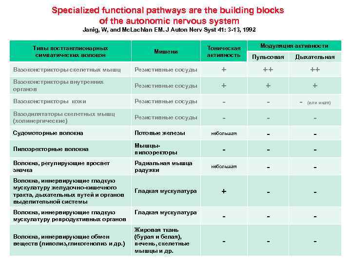 Specialized functional pathways are the building blocks of the autonomic nervous system Janig, W,