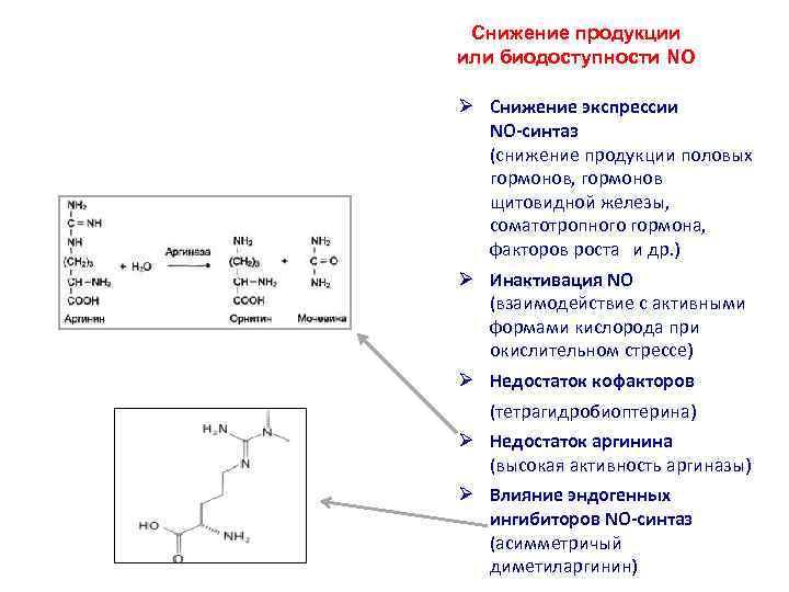 Снижение продукции или биодоступности NO Ø Снижение экспрессии NO-синтаз (снижение продукции половых гормонов, гормонов