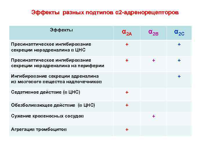 Секреция Норадреналина