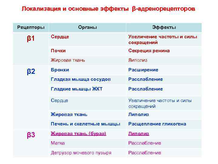 Локализация и основные эффекты β-адренорецепторов Рецепторы Органы Эффекты Секреция ренина Липолиз Бронхи Расширение Гладкая