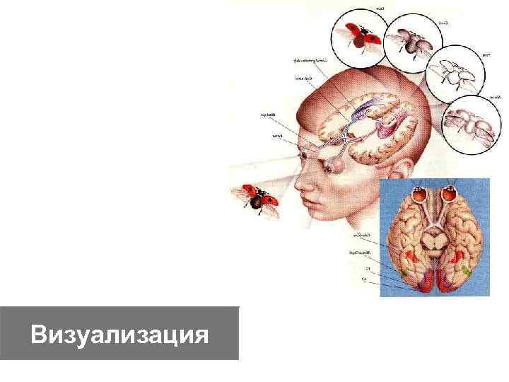 Визуализация 