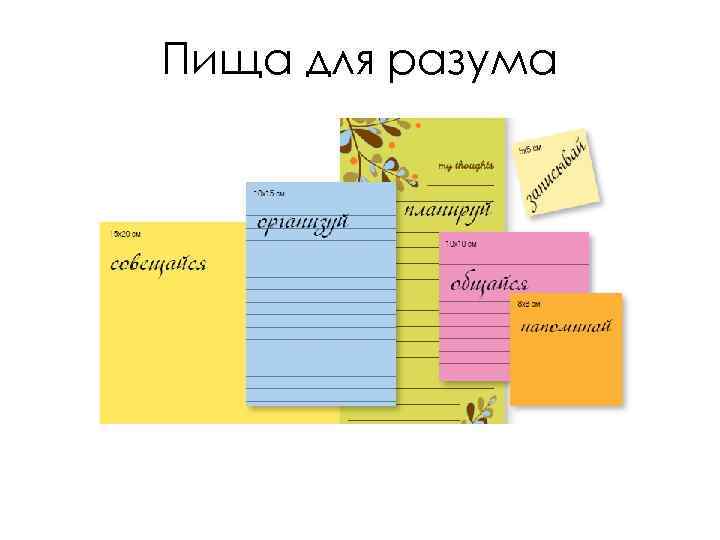 Пища для разума 