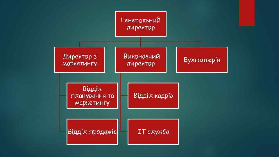 Генеральний директор Директор з маркетингу Виконавчий директор Відділ планування та маркетингу Відділ кадрів Відділ