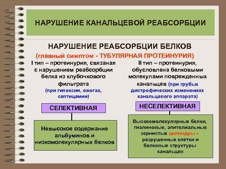 НАРУШЕНИЕ КАНАЛЬЦЕВОЙ РЕАБСОРБЦИИ НАРУШЕНИЕ РЕАБСОРБЦИИ БЕЛКОВ (главный симптом - ТУБУЛЯРНАЯ ПРОТЕИНУРИЯ) І тип –