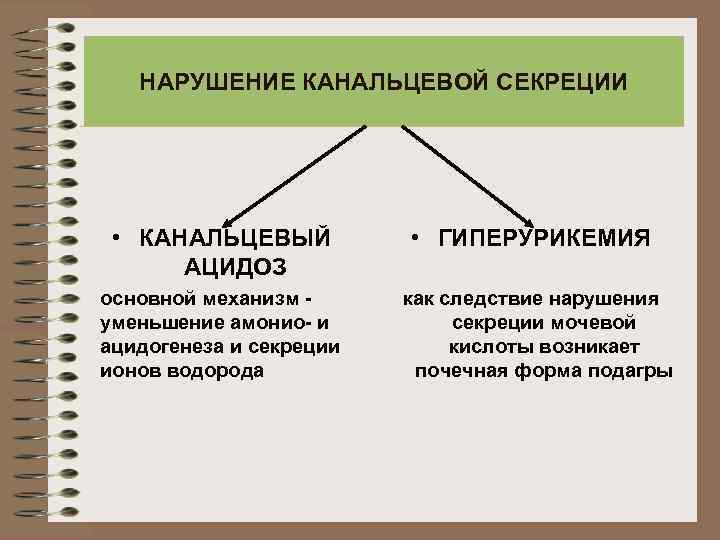 НАРУШЕНИЕ КАНАЛЬЦЕВОЙ СЕКРЕЦИИ • КАНАЛЬЦЕВЫЙ АЦИДОЗ основной механизм уменьшение амонио- и ацидогенеза и секреции