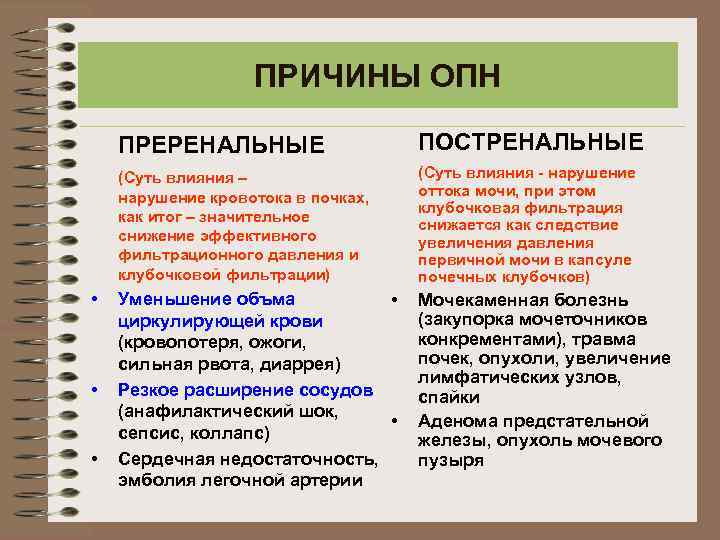 ПРИЧИНЫ ОПН ПРЕРЕНАЛЬНЫЕ (Суть влияния – нарушение кровотока в почках, как итог – значительное