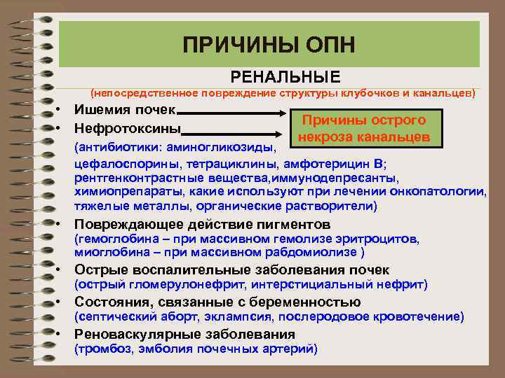 ПРИЧИНЫ ОПН РЕНАЛЬНЫЕ (непосредственное повреждение структуры клубочков и канальцев) • Ишемия почек • Нефротоксины