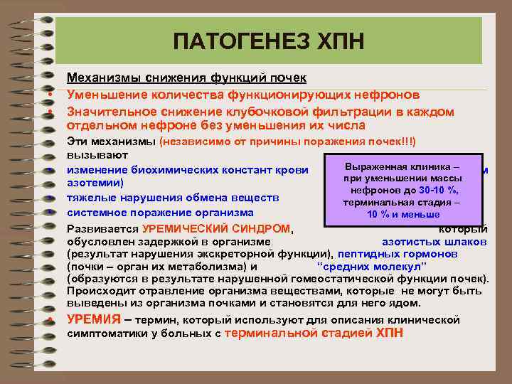 ПАТОГЕНЕЗ ХПН • • • Механизмы снижения функций почек Уменьшение количества функционирующих нефронов Значительное