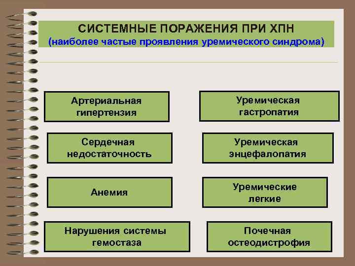 СИСТЕМНЫЕ ПОРАЖЕНИЯ ПРИ ХПН (наиболее частые проявления уремического синдрома) Артериальная гипертензия Уремическая гастропатия Сердечная