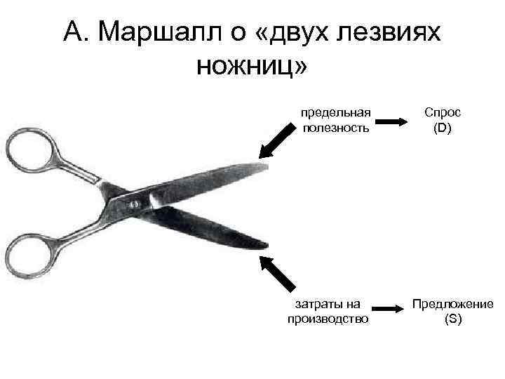 А. Маршалл о «двух лезвиях ножниц» предельная полезность затраты на производство Спрос (D) Предложение