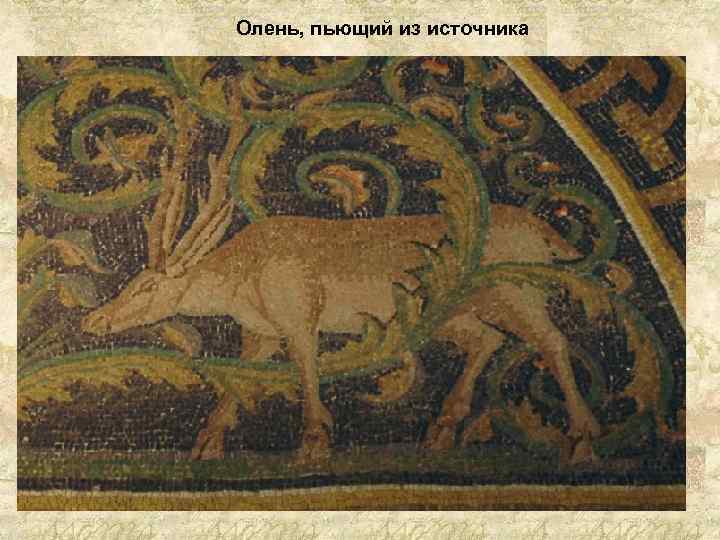 Олень, пьющий из источника 