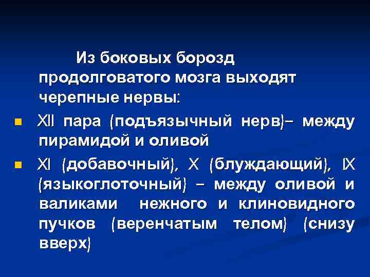 n n Из боковых борозд продолговатого мозга выходят черепные нервы: XII пара (подъязычный нерв)–