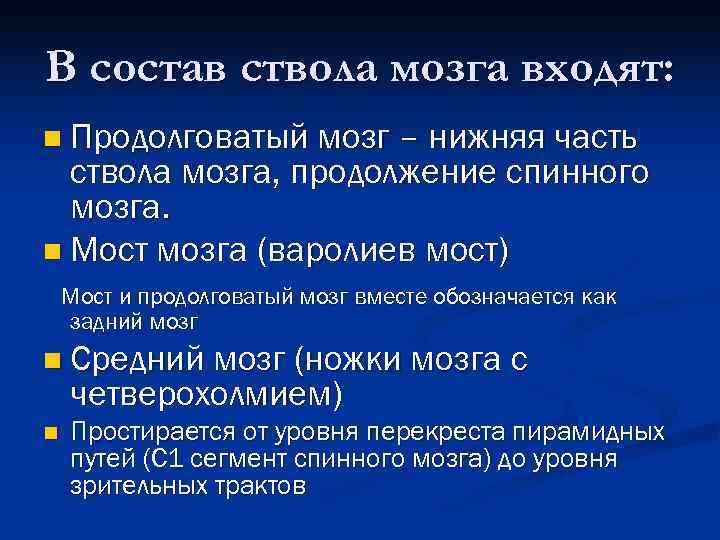 В состав ствола мозга входят: n Продолговатый мозг – нижняя часть ствола мозга, продолжение