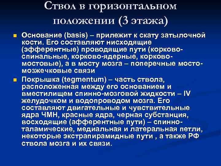 Ствол в горизонтальном положении (3 этажа) n n Основание (basis) – прилежит к скату