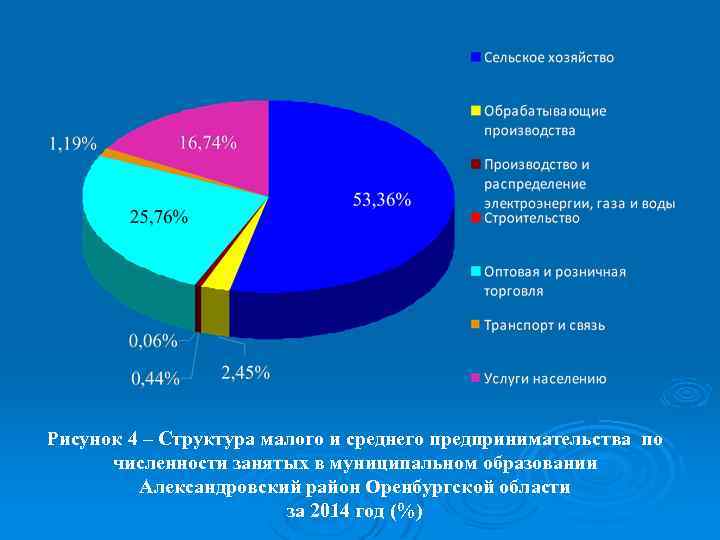 Рисунок 4 – Структура малого и среднего предпринимательства по численности занятых в муниципальном образовании