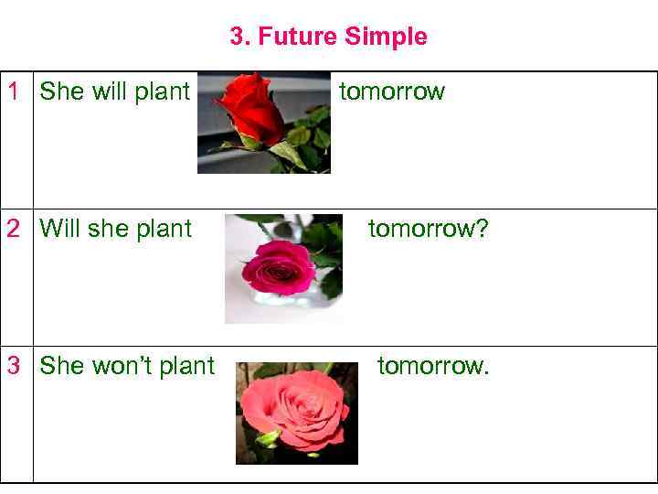 3. Future Simple 1 She will plant 2 Will she plant 3 She won’t