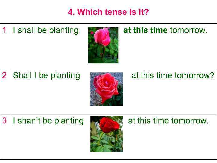 4. Which tense is it? 1 I shall be planting 2 Shall I be