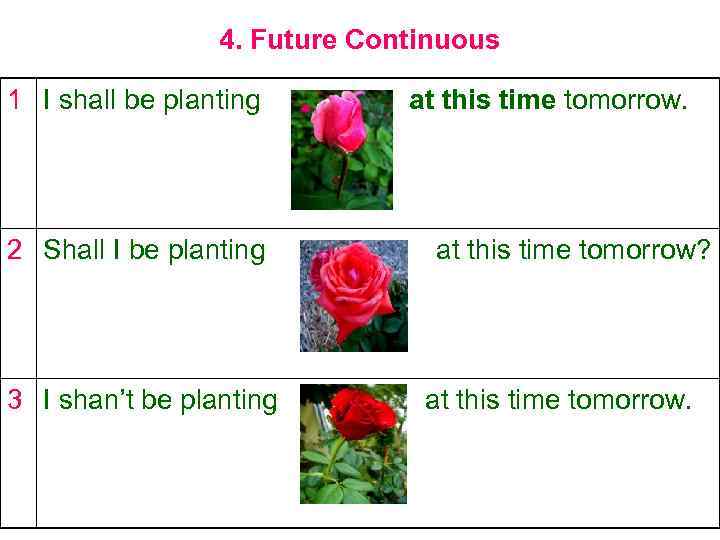 4. Future Continuous 1 I shall be planting 2 Shall I be planting 3