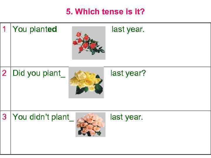 5. Which tense is it? 1 You planted last year. 2 Did you plant_