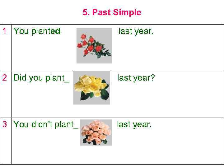 5. Past Simple 1 You planted last year. 2 Did you plant_ last year?